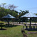 galeri